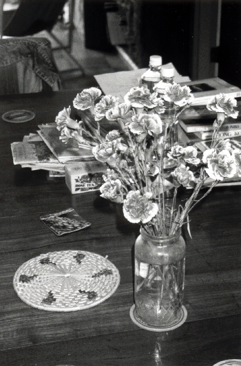 Flowers on a living room table, Sha Wan Drive, Sandy Bay, 21 December 1995