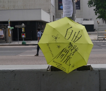 Yellow umbrella at the Central Umbrella Movement occupation site, Harcourt Road, 4 October 2014