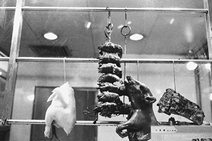Roast meat hanging in a restaurant window, Causeway Bay, 30 June 1999