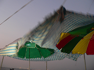 Umbrellas blowing in the wind: early evening at Lau Fau Shan, 23 January 2005