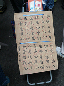 Protestor in the annual pro-democracy march with message on a trolley, 1 July 2007