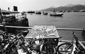 Seafood curing in the sun, Cheung Chau waterfront, 25 September 2003