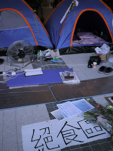 Protest against an attempt by the Government to introduce national education into the school curriculum, Civic Square, 5 September 2012