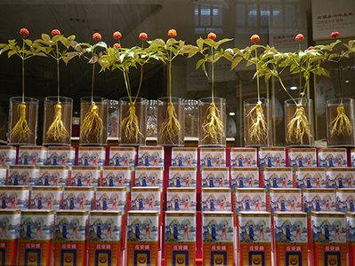 Shop window display, Sheung Wan, 9 February 2013