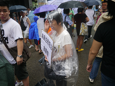 On the annual pro-democracy march, 1 July 2013