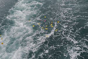 Casting paper offerings on the water whilst on a boat to Joss House Bay on the birthday of Tin Hau, 22 April 2014