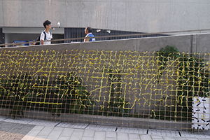 Slogan made of yellow ribbons at the Admiralty Umbrella Movement occupation site, Harcourt Road, 30 September 2014