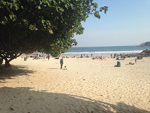 Beach at Big Wave Bay, Hong Kong Island, 4 January 2015