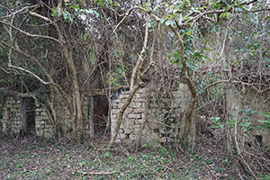 Abandoned village, Plover Cove Country Park, North East New Territories, 21 February 2016