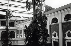 Main Building, University of Hong Kong, Pokfulam, 1 June 1995