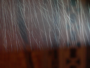 Rainy weather at night, Tai Ping Shan, 2 April 2008