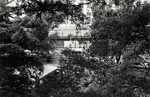 View from the balcony outside my office, Main Building, HKU, Pokfulam, 10 November 1995