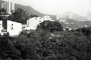 View towards Sassoon Road, Pokfulam, 16 December 1995