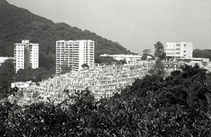 View of the Chinese Christian Cemetery from the top of Bisney Road, 5 December 1995