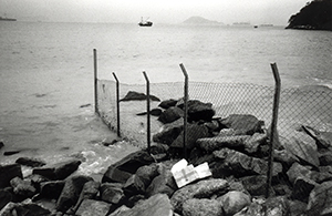 Sandy Bay, Hong Kong Island, 16 March 1996