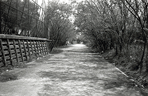 Waterfront path behind the HKU sports centre, Sandy Bay, Pokfulam, 24 March 1996