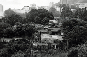 Village houses below Pokfulam Road, Hong Kong Island, 17 April 1996