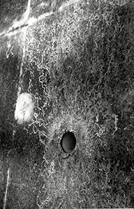 Snail trails and drain outlet in a wall, Sha Wan Drive, 5 June 1996