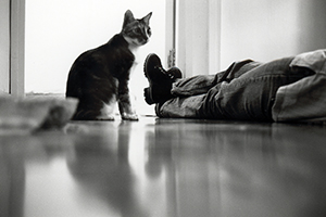 Cat, Wanchai, 6 June 1996