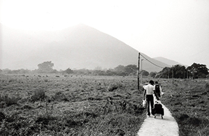 Fields near Tung Chung, 27 November 1996