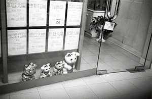 Good luck cats at the entrance to an estate agent's shop, Queen's Road West, 1 May 1997