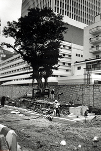 Reclaimed land in front of the Prince of Wales Barracks being made good in time for the handover, 17 May 1997