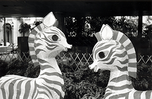 Zebra lanterns for handover celebration, Chater Garden, Central, 31 July 1997