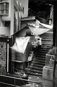 Steps near Caine Road, Mid-Levels, 1 August 1997