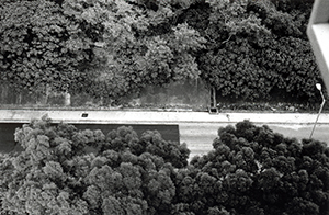 Sha Wan Drive being resurfaced, Sandy Bay, 21 October 1997