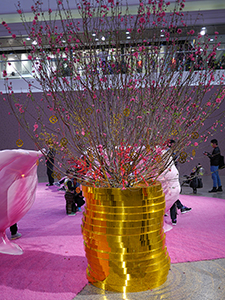 Seasonal decorations outside Times Square, Causeway Bay, 9 February 2013