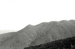 View from the contour path around Violet Hill in Tai Tam Country Park, 2 November 1997