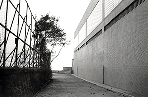 Path by the side of the sports ground, Sandy Bay, 7 February 1998