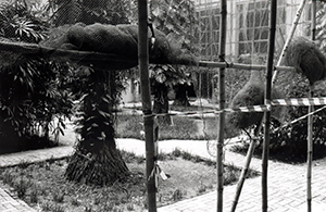 Main Building courtyard, University of Hong Kong, 23 September 1998