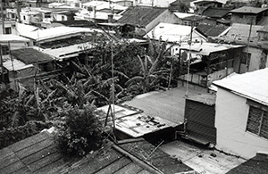 Squatter housing in Pokfulam Village, Pokfulam, 15 December 1998