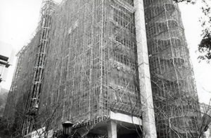 The Kadoorie Biological Sciences Building under construction, The University of Hong Kong, Pokfulam, 29 March 1999