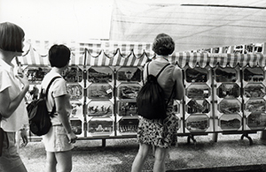 Old photos for sale, Tai O, Lantau, 19 June 1999