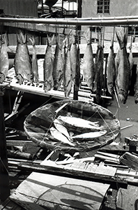 Fish being dried outside a stilt house in Tai O, Lantau Island, 19 June 1999