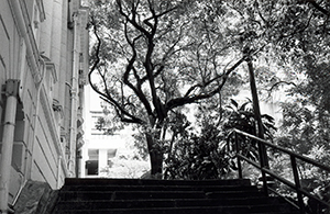 The Main Building, University of Hong Kong, 1 September 1999