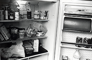 Contents of a fridge, Sha Wan Drive, 6 November 1999