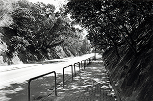 Victoria Road, from the top of Sha Wan Drive, 23 December 1999