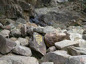 Rock with number marking, Hong Kong Island, 21 January 2005