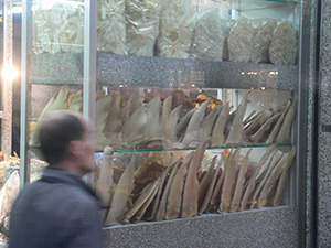 Dried seafood shop with shark fin on display, 5 February 2005