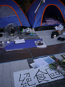 Hunger Strike against an attempt by the Government to introduce national education into the school curriculum, Civic Square, 5 September 2012