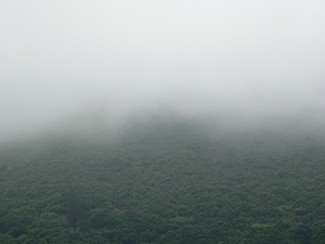 Mountain in low fog, Hong Kong Island, 15 May 2005