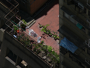 A rooftop with plants, Sheung Wan, 22 May 2005