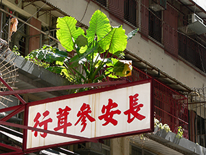Plants and sign outside a building, Sheung Wan, 4 October 2005