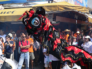 Lion dance, Tai Ping Ching Chiu at Shek O, a once in a decade 'Prayer Festival', 4 November 2006