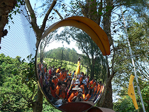 Reflection in a traffic mirror of the Piu Sik Parade, Tai Ping Ching Chiu at Shek O, a once in a decade 'Prayer Festival', 4 November 2006