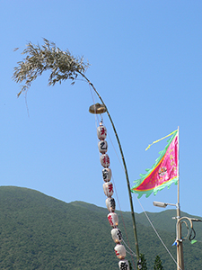 String of lanterns on a bamboo stick, Tai Ping Ching Chiu at Shek O, a once in a decade 'Prayer Festival', 4 November 2006
