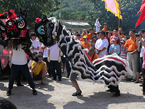 Lion dance, Tai Ping Ching Chiu at Shek O, a once in a decade 'Prayer Festival', 4 November 2006